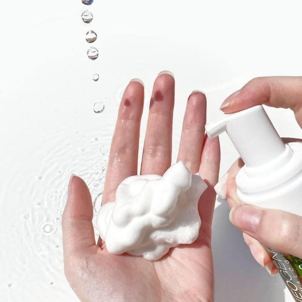 Neogen Real Fresh Foam Blueberry 160g