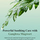 I’m From Mugwort Essence