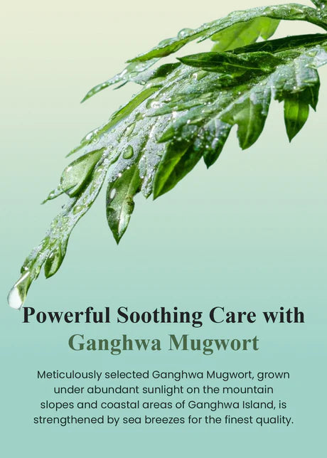 I’m From Mugwort Essence