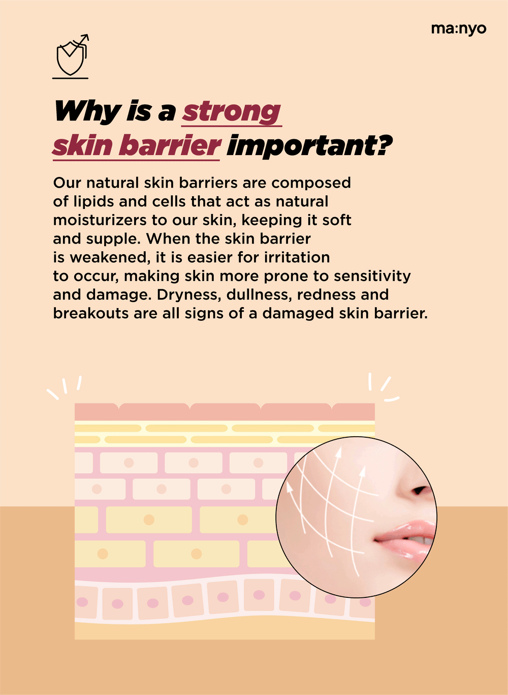 Manyo Bifida Biome Ampoule Toner 300ml