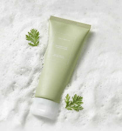 Graymelin Mugwort Pure Foam Cleanser