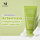Bring Green Artemisia Calming EX Modeling Pack To Foam Cleanser 120ml