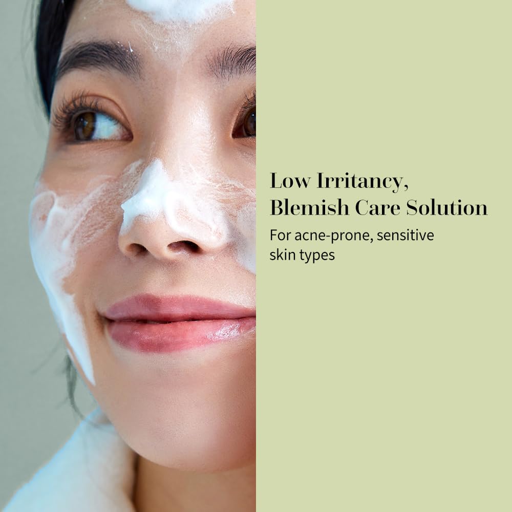 Fraijour Heartleaf Blemish PH Balanced Cleansing Foam 250ml