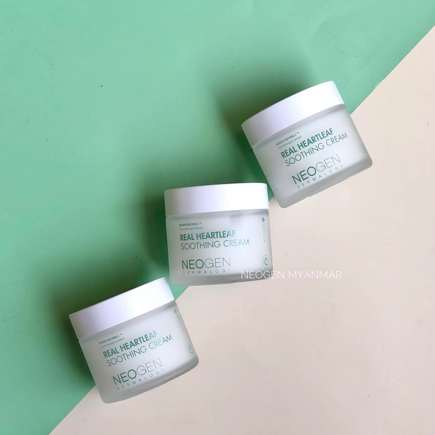 Neogen Heartleaf Soothing Cream