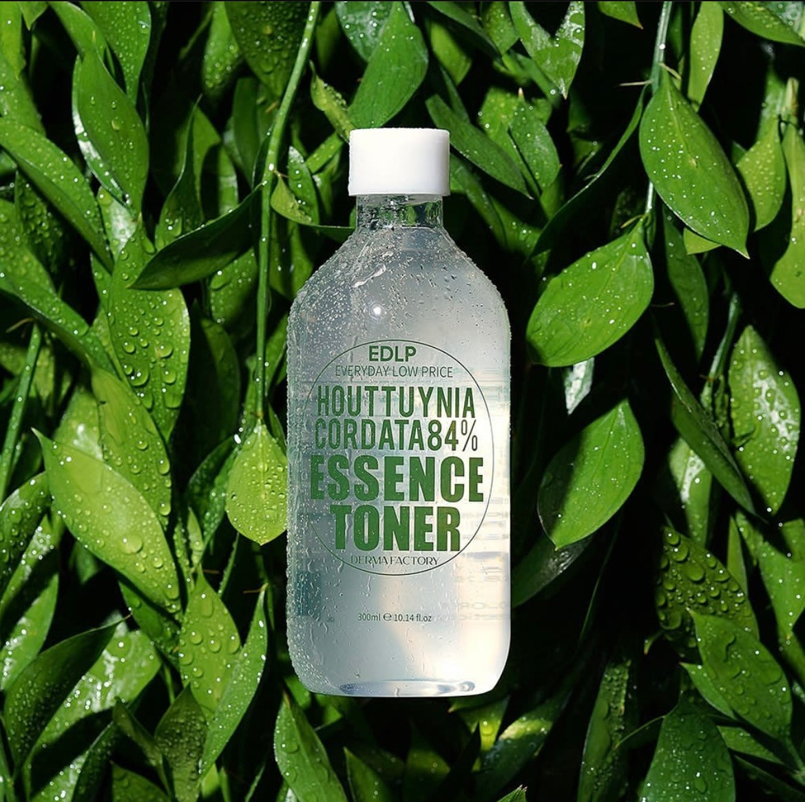 Derma Factory Houttuynia Cordata 84% Essence Toner 150ml