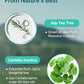 Bring Green Tea Tree Cica Trial Kit