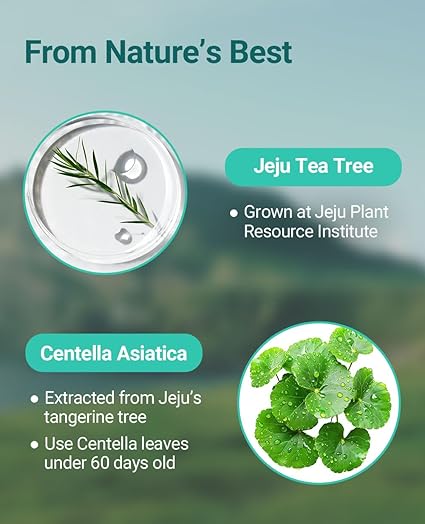 Bring Green Tea Tree Cica Trial Kit