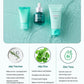 Bring Green Tea Tree Cica Trial Kit