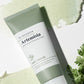 Bring Green Artemisia pH Balance Cleansing Foam